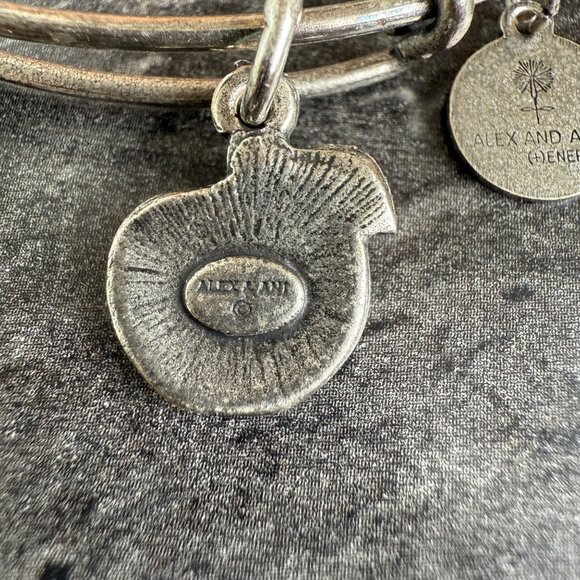 Alex and Ani Apple Charm Bracelet Silver Nature Expandable Bangle - Picture 11 of 14